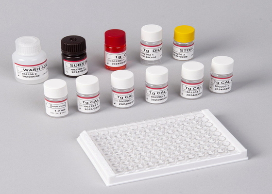 In-vitro-Erkennung Medizinische Erkennung Hochpräzisions-E2-ELISA-Test-Kit