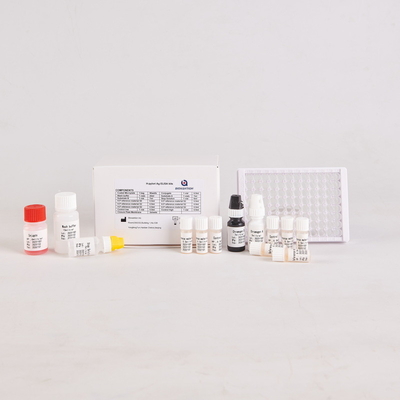 RUO Helicobacter Pylori Antigen ELISA Quantitative Test Kit (Kot)