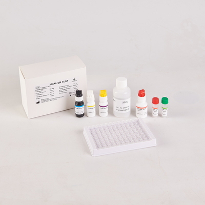 Brucella elisa Testkit RUO Elisa Testkit von enzymgebundenen Produkten