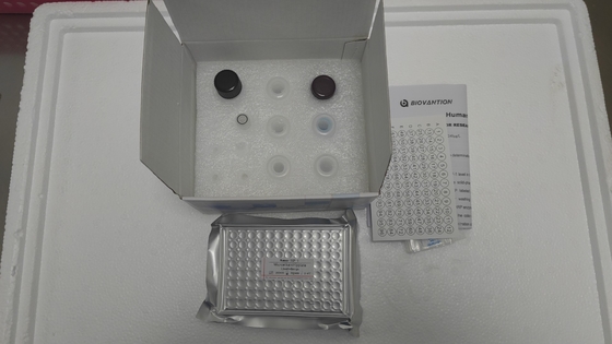 Humaner insulinähnlicher Wachstumsfaktor-1 ELISA-Kit nur für Forschungszwecke/IGF-1 Elisa-Kit