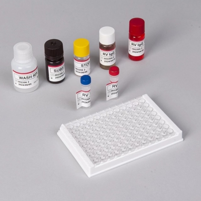 RV-G Elisa Testkit für die Diagnose der Plasmaprobentyp