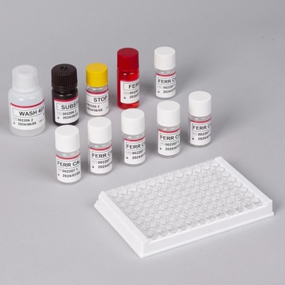 Ferritin-ELisa-Test-Kit Schnelle Serumsensitivität Elisa-Test Biovantion 2-3 Stunden Untersuchungszeit 2-8.C Lagerung