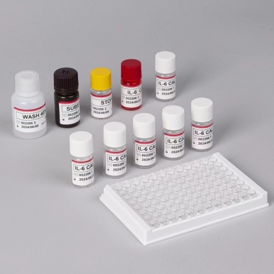 IL-6 Interleukin 6 Elisa Testkit mit 2-3 Stunden Testzeit Biovantion Serum/Plasmaformat 18 Monate Haltbarkeit