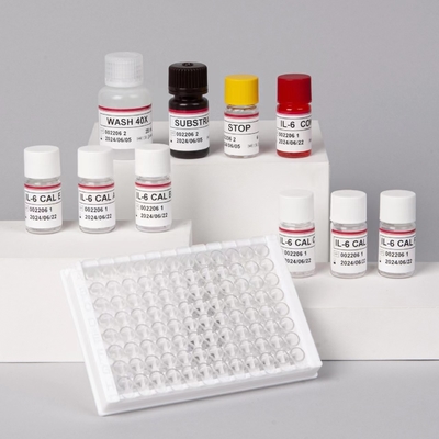 IL-6 Interleukin 6 Elisa Testkit mit 2-3 Stunden Testzeit Biovantion Serum/Plasmaformat 18 Monate Haltbarkeit
