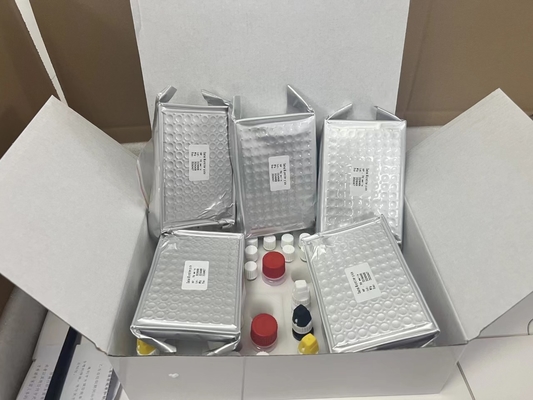 11-Dehydro-Thromboxan B2 11dhTxB2 ELISA-Test-Kit IVD hohe Genauigkeit und einfache Bedienung
