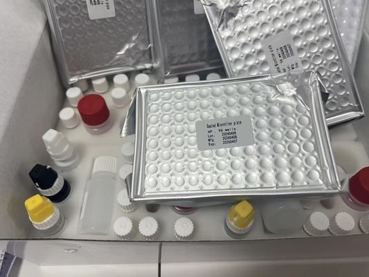 11-Dehydro-Thromboxan B2 11dhTxB2 ELISA-Test-Kit IVD hohe Genauigkeit und einfache Bedienung