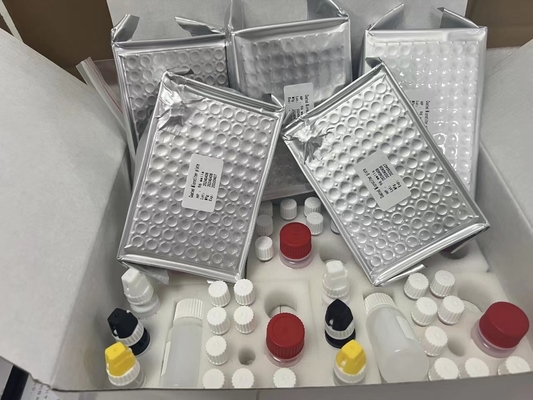 11-Dehydro-Thromboxan B2 11dhTxB2 ELISA-Test-Kit IVD hohe Genauigkeit und einfache Bedienung