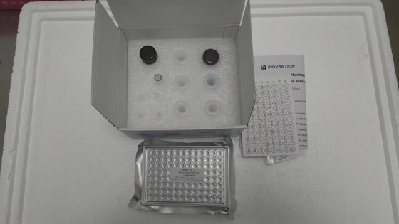 IGF-1 RUO-ELISA-Test für die Spezifität Serum/Plasma 2-3 Stunden ELISA-Test bei 2-8 °C gelagert