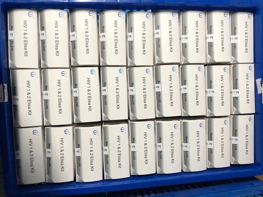 Enzym-Immunreagenzien Elisa-Test-Kit für den Nachweis von Hepatitis-C-Virus (HCV) -Antikörpern