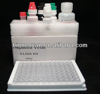 Genaue HBsAg-Diagnostik in 2-3 Stunden mit einem Enzymgebundenen Immunsorptions-Test-Kit
