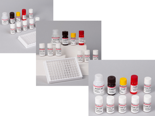 Labor- oder Krankenhaus-Hochpräzisions-Humanferritin-FE ELISA-Test-KIT