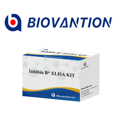 Labor- oder Krankenhaus-Hochpräzisions-ELISA-TEST-KIT für die immunologische Detektion von Inhibin B