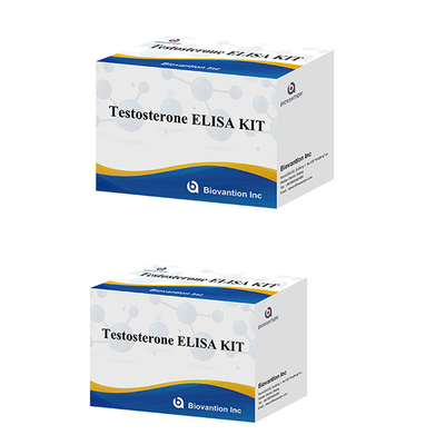 Männliches Sexualhormon Testosteron Hormon (quantitativ) Elisa Testkit zur Diagnose