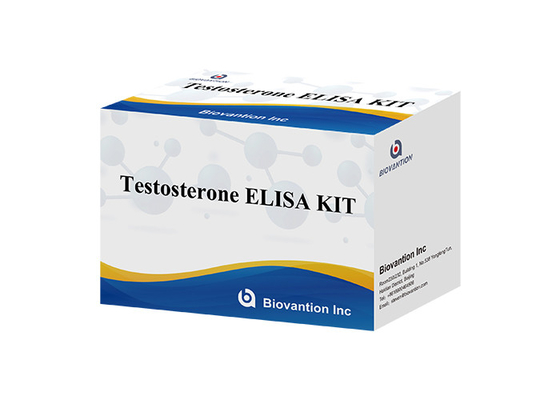 Männliches Sexualhormon Testosteron Hormon (quantitativ) Elisa Testkit zur Diagnose