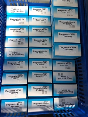 Anti-TP Treponema Pallidum ELISA-Test-Kit Medizinische Diagnose mit Serum/Plasma