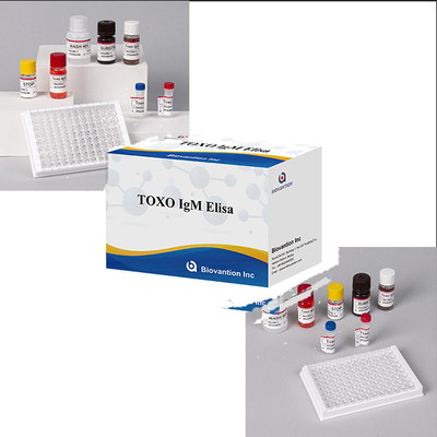 Krankenhäuser Laboratorien Kliniken verwenden hochgenaue Toxo IgM ELISA TEST KIT