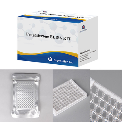 Krankenhäuser Laboratorien Kliniken verwenden Progesteron Quantitative Immunoassay ELISA TEST KIT