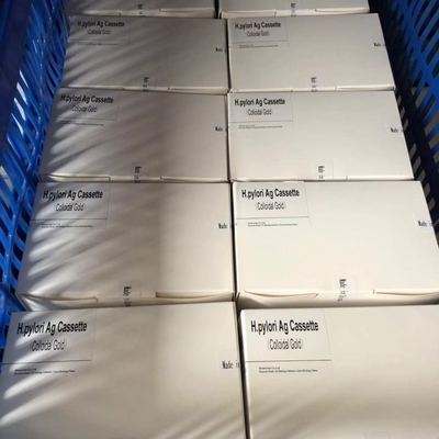 Gastrointestinale Erkrankungen Kolloidal Gold Rapid Test 25/50 Tests mit 5-15 Minuten Lesezeit