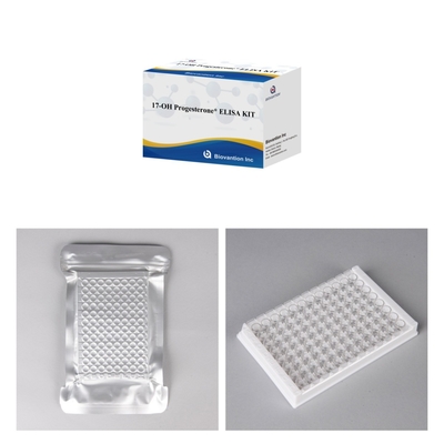 17-OH-Progesteron-Elution in Vitro-Diagnostik Elisa-Test-Kit für Frauen mit Zubehör genaue Tests