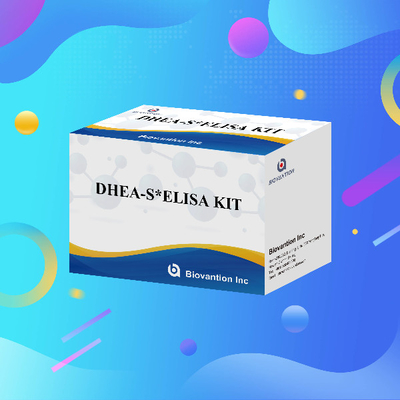 Hohe Empfindlichkeit In vitro-Diagnostischer Reagenz IVD DHEA-S Elisa-Test-Kit