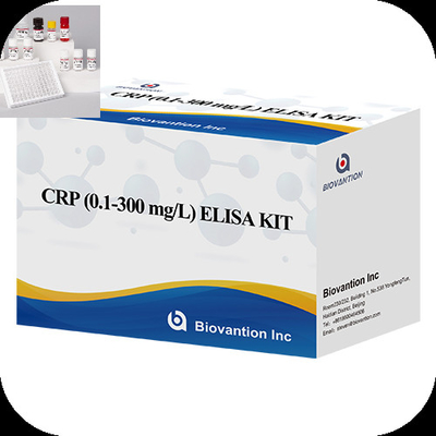 Enzymgebundene Immunreaktoren mit hoher Empfindlichkeit C Reaktionsprotein CRP Elisa Testkit
