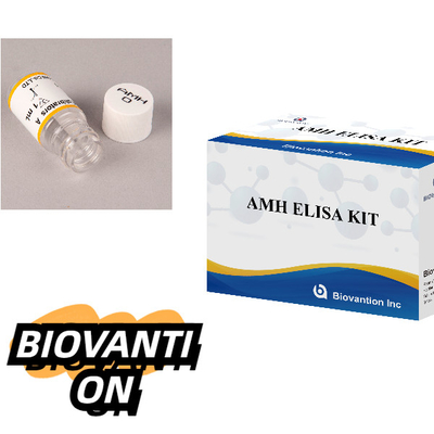 Anti-Mullerian Hormon Elisa Test Kit AMH ELISA Immunoassay Detektionskit Verwendungszweck