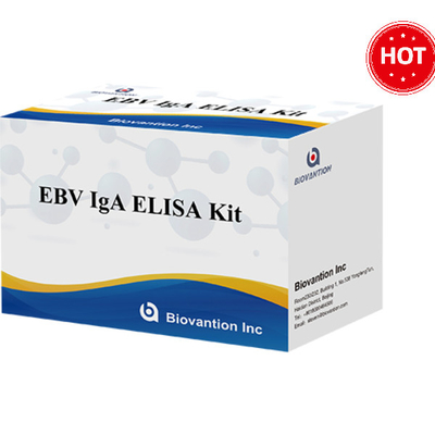 EBV-VCA IgA Ab ELISA Zähne-Kit Immuntest-Kit Bestimmte Verwendung