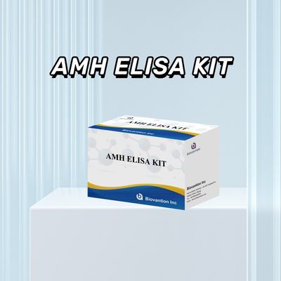 Anti-Mullerian-Hormon-ELISA