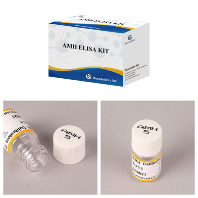 AMH ELISA-Test-Kit für menschliche Anti-Mullerian Hormone Labor oder Krankenhaus