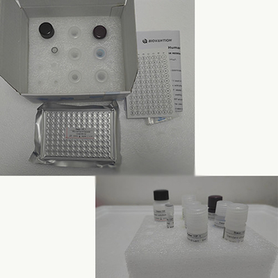 Vitamin E Elisa Test Kit Of Enzymgebundene Produktforschung NUTZEN NUR Tierversuch