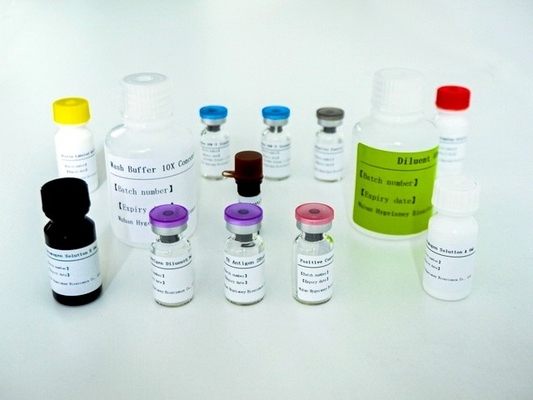 Mycobacterium Tuberculosis Spezifische T-Zell-vermittelte Immunantwort-Erkennung Elisa Testkit