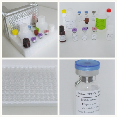 Mycobacterium Tuberculosis Spezifische T-Zell-vermittelte Immunantwort-Erkennung Elisa Testkit