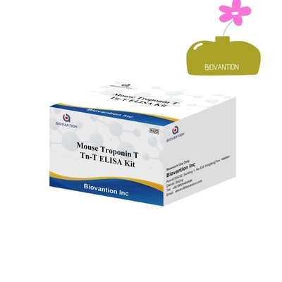 ELISA-Detektionsreagenz-Kit Hochgenauigkeit Troponin I ((CTnl)) Test Elisa-Test-Kit Krankenhausgebrauch