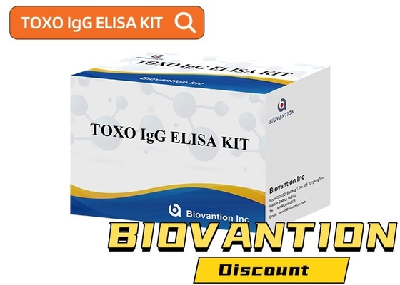 TOXO Ig G Empfindliches und spezifisches Elisa-Test-Kit für die Krankheitsüberwachung