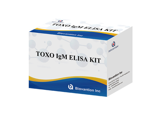 TOXO Ig G Empfindliches und spezifisches Elisa-Test-Kit für die Krankheitsüberwachung