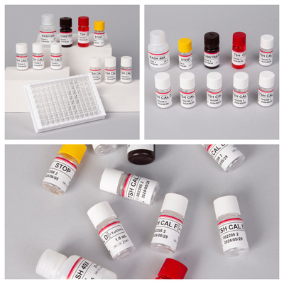 TSH (Quantitative) Sensitive und spezifische Elisa-Test-Kit für Schilddrüsenerkrankungen