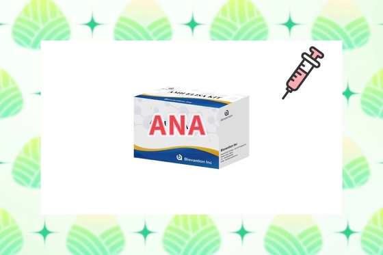 Empfindlichkeit ANA-Screen IgG Elisa Testkit für Serum/Plasma-Erkennung bei 2-8°C
