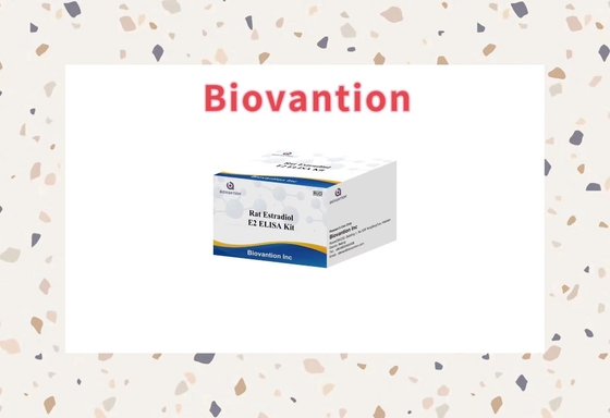 Spezifität Biovantion Ratten-Estradiol E2 Elisa Testkit - 96 Tests Lagerung bei 2-8.C