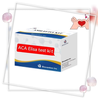 Spezifität 2-3 Stunden Anti-ACA IgM Elisa Tierversuch mit 18 Monaten Haltbarkeit