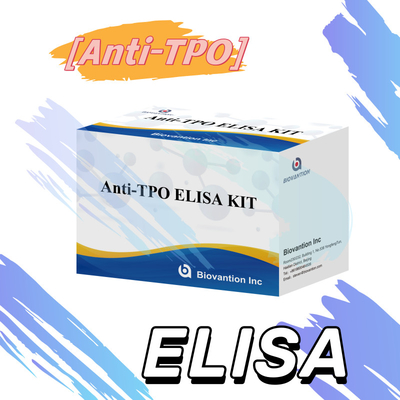 Empfindliche Schilddrüsenperoxidase-Antikörper Elisa Testkit zur menschlichen Diagnose