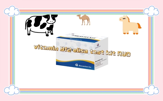 Vitamin B12 Elisa Testkit von enzymgebundenen Produkten