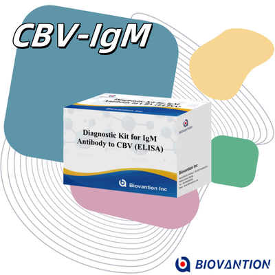 18 Monate Haltbarkeitsdauer Enzymgebundener Immunsorptionstest für IgM-Antikörper gegen CBV