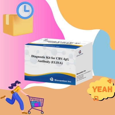 Empfindlichkeitsdiagnostisches Kit für CBV-IgG-Antikörper menschliche Erkennung Elisa-Kits für präzise Probentypenerkennung