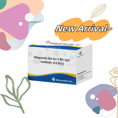 Empfindlichkeitsdiagnostisches Kit für CBV-IgG-Antikörper menschliche Erkennung Elisa-Kits für präzise Probentypenerkennung