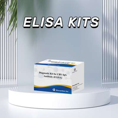 Empfindlichkeitsdiagnostisches Kit für CBV-IgG-Antikörper menschliche Erkennung Elisa-Kits für präzise Probentypenerkennung