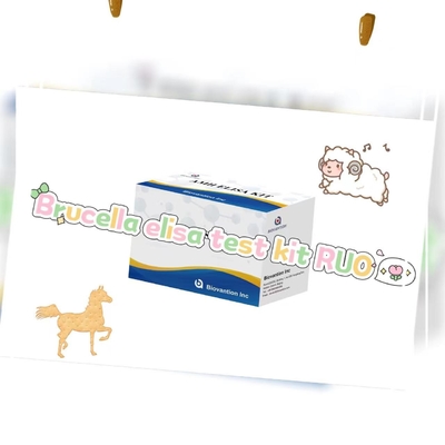 Brucella elisa Testkit RUO Elisa Testkit von enzymgebundenen Produkten