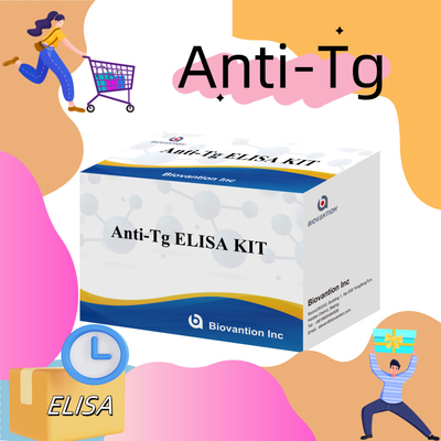 Elisa Diagnosekit für menschliche Antithyroglobulin-Antikörper