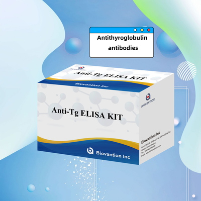 Elisa Diagnosekit für menschliche Antithyroglobulin-Antikörper
