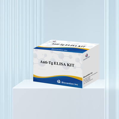 Elisa Diagnosekit für menschliche Antithyroglobulin-Antikörper