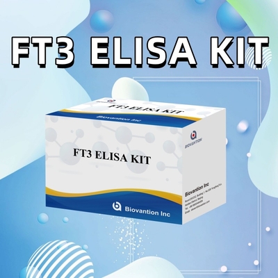 FT3 Freie Triiodothyronin für menschliche Diagnosereagenz-Kits mit 96T ELISA-Test für Klinik-Krankenhauslabor